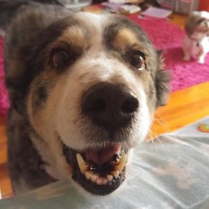 Meet your Posher, Cecil